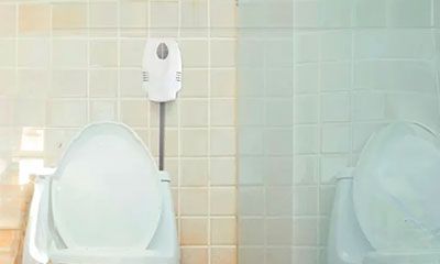 abansol bacteriostaticos pared