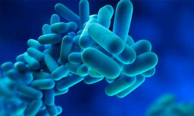 legionella zoom