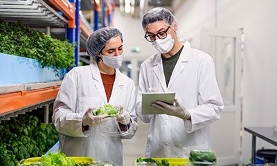 registro sanitario alimentacion
