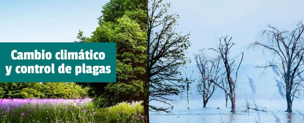plagas urbanas