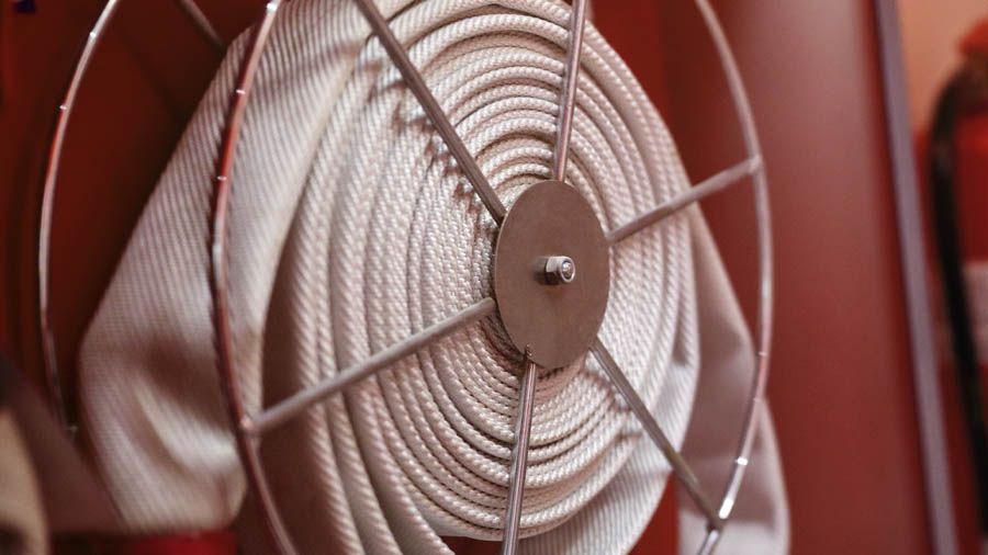 extinción
