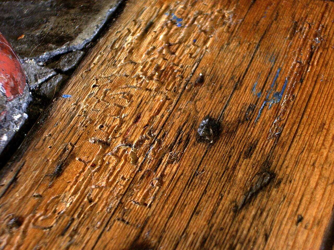 Tabla de madera de un suelo con las galerías y los agujeros de salida que deja la carcoma
