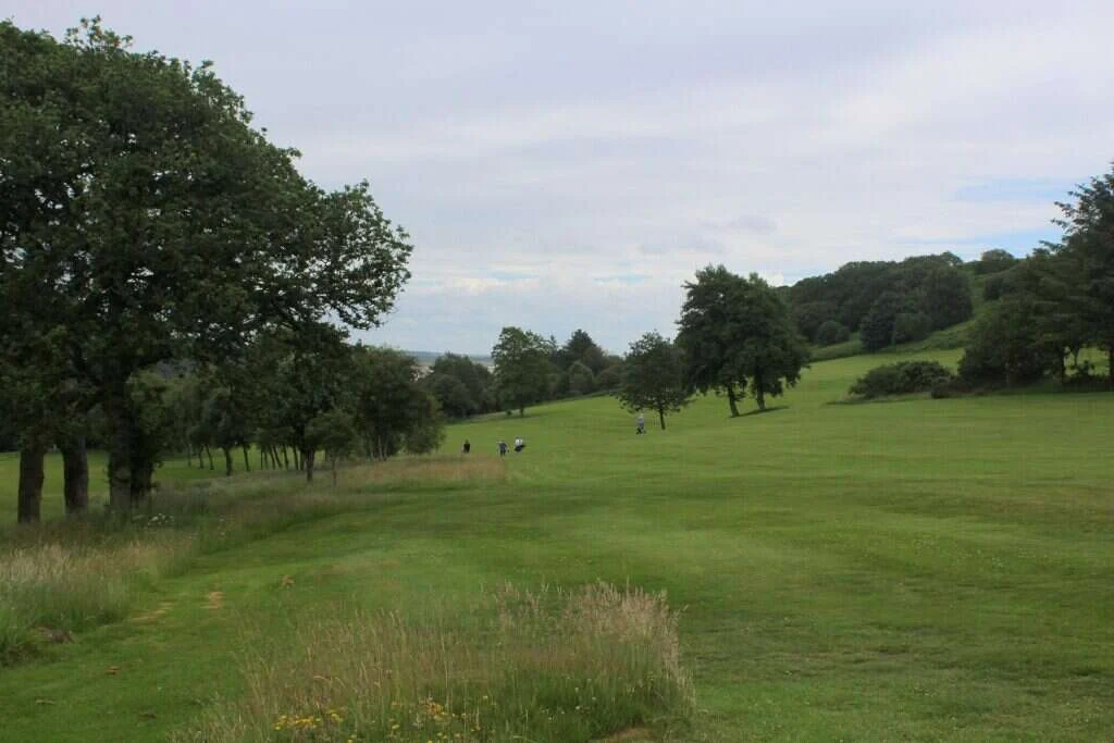 Calle de un campo de golf con jugadores al fondo y el césped segado a ras