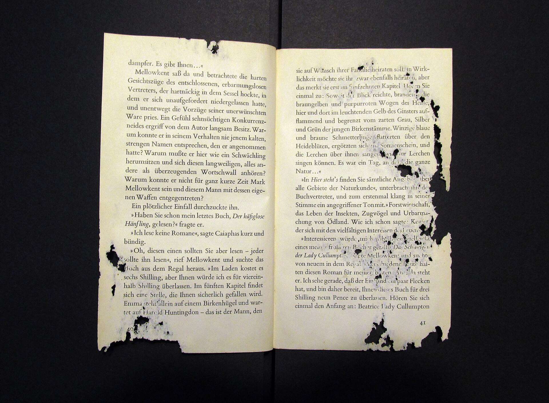 Libro abierto con los bordes de las páginas roídos de forma irregular por pececillos de plata