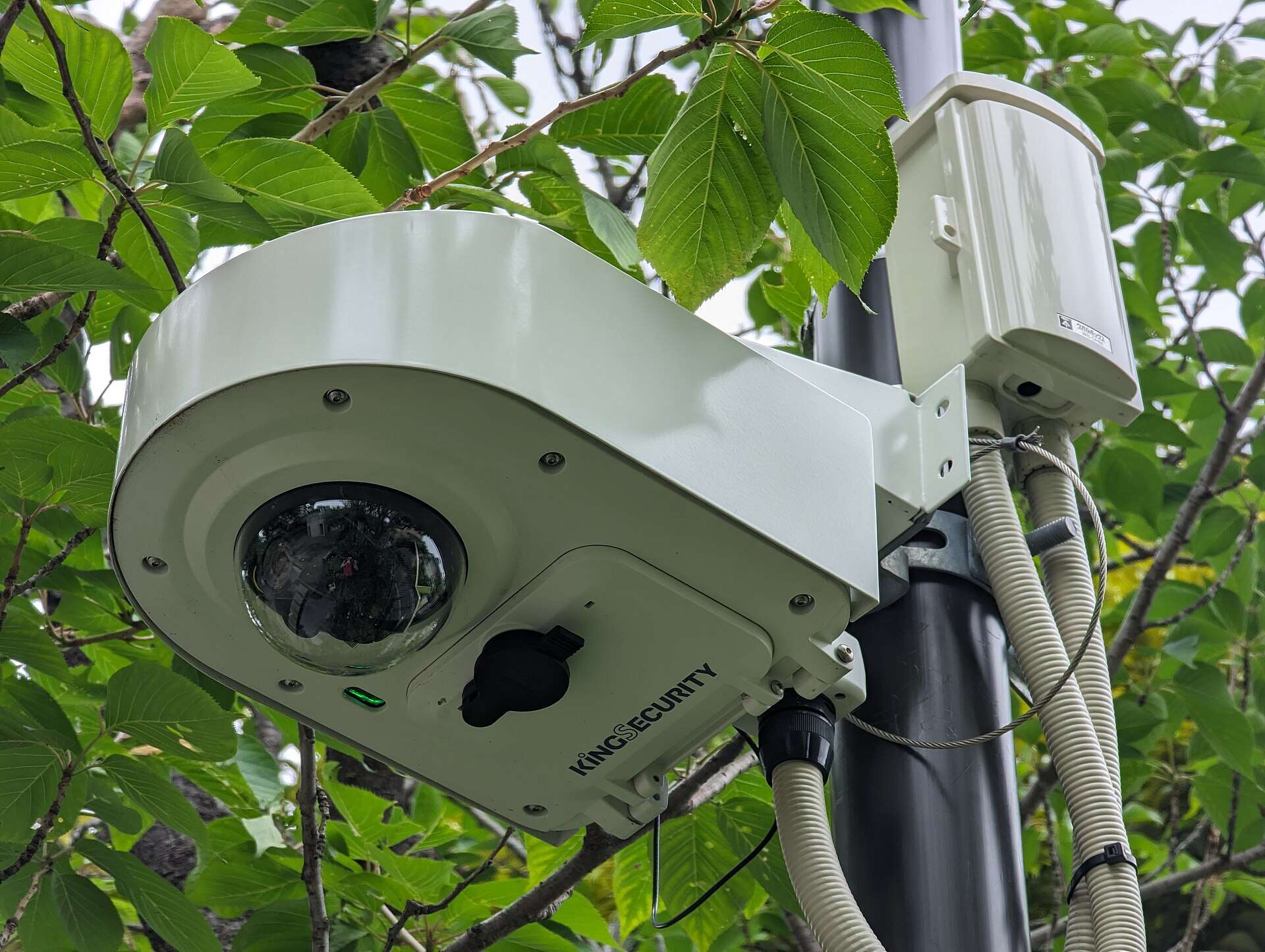 Cámara de videovigilancia con carcasa de exterior sujeta a un poste entre el arbolado de un recinto