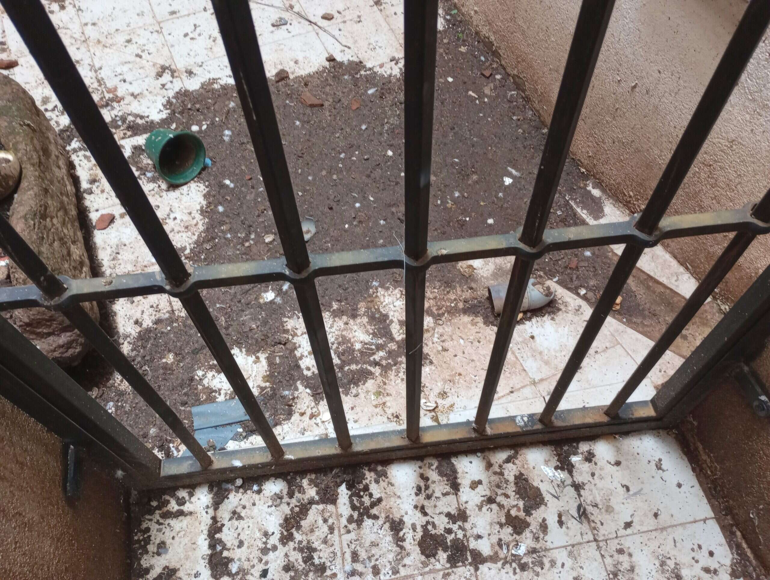 Rejilla de un patio de luces cubierta de excremento y restos de nido de paloma