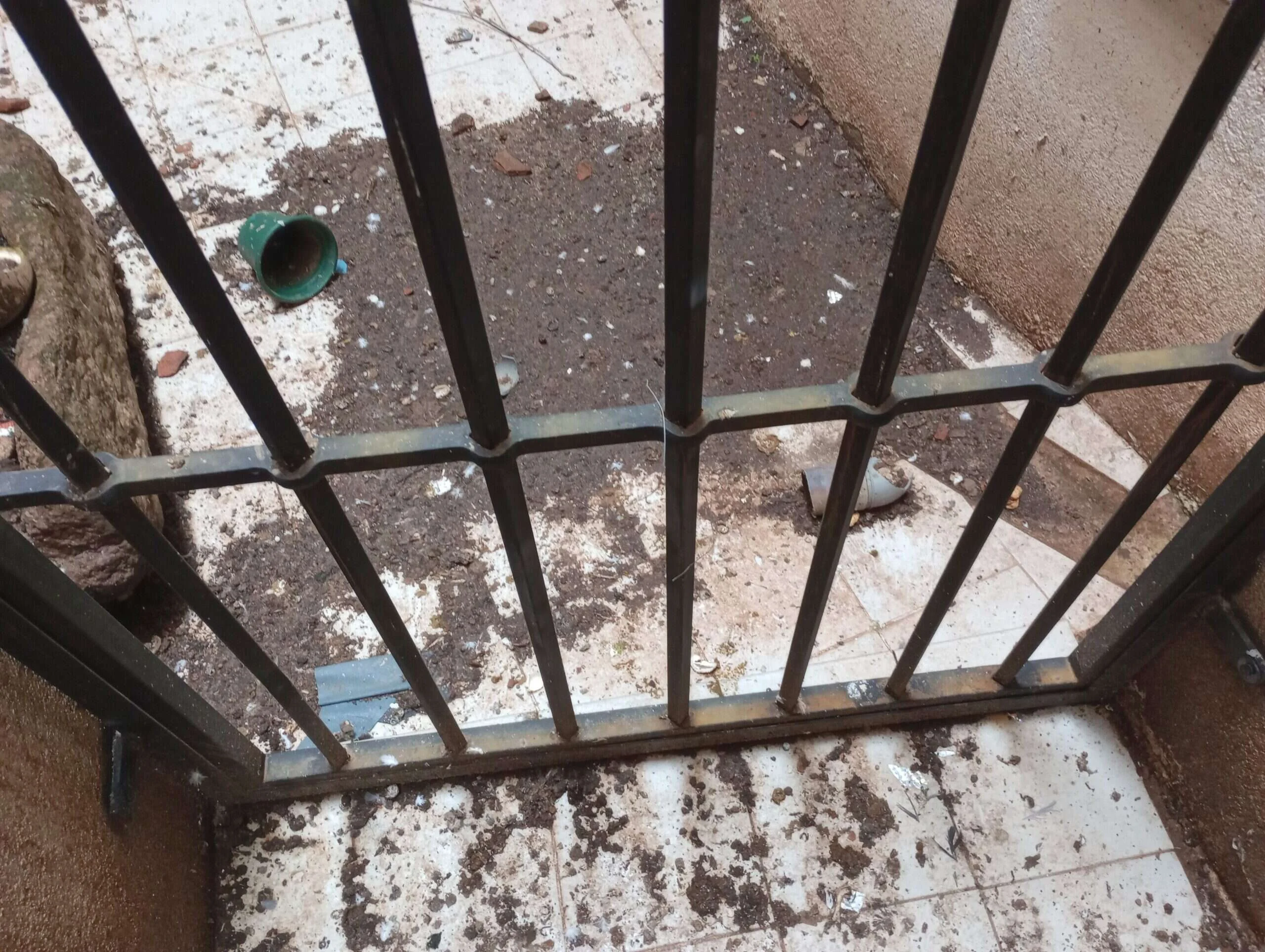 Rejilla de un patio de luces cubierta de excremento y restos de nido de paloma