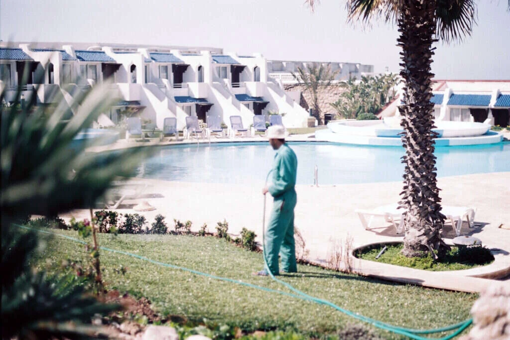 Jardinero regando el cesped junto a la piscina y las palmeras de un hotel