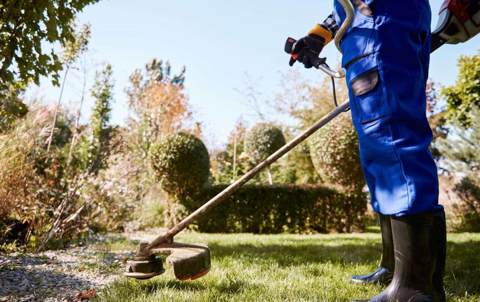 Jardinería profesional de mantenimiento en las zonas verdes de un edificio de empresas