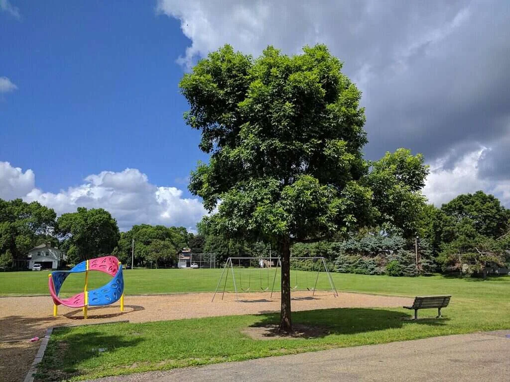 Patio de colegio con arbolado y zona de juego