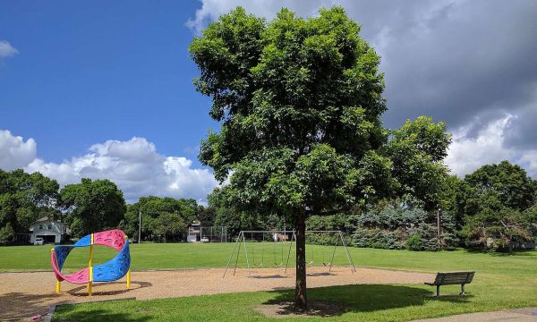 Patio de colegio con arbolado y zona de juego